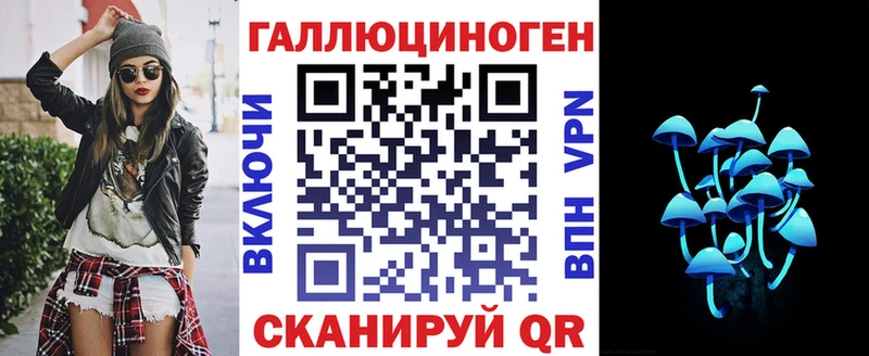 Псилоцибиновые грибы Cubensis  Цоци-Юрт 