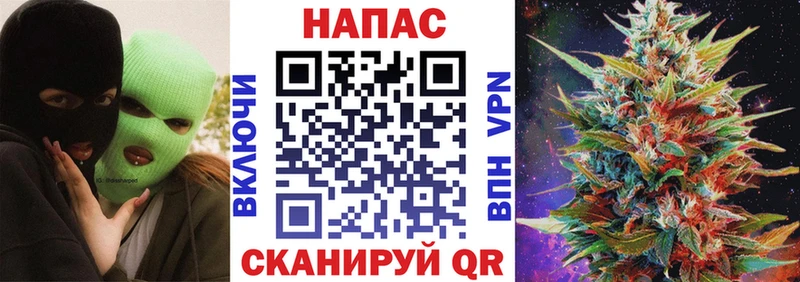 купить   Цоци-Юрт  Каннабис OG Kush 